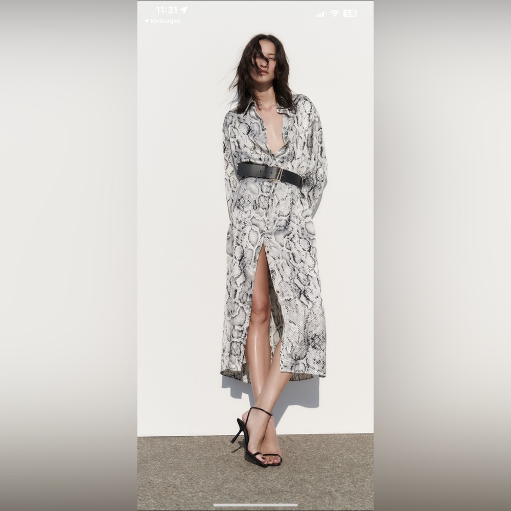 ZARA Snakeskin Print Satin Effect Dress